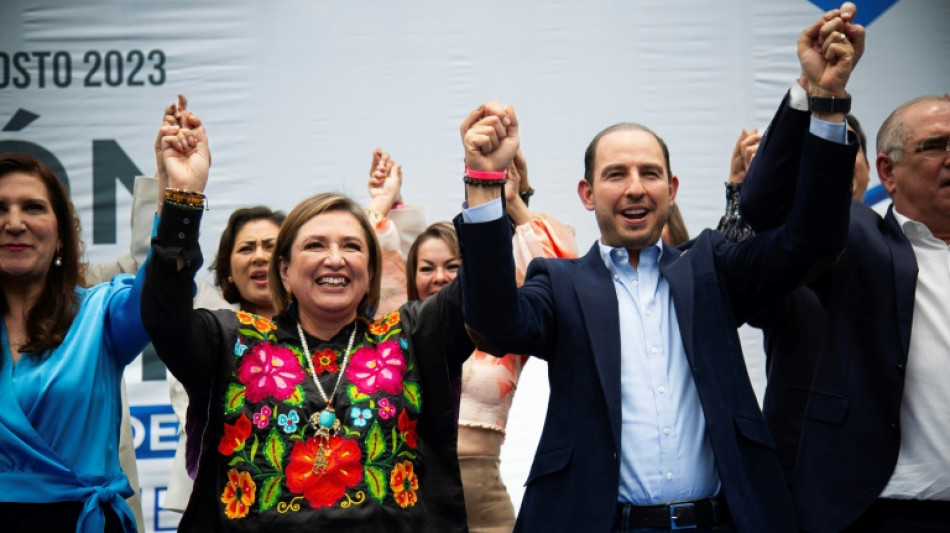 X&oacute;chitl G&aacute;lvez lidera pesquisas para candidatura opositora &agrave; Presid&ecirc;ncia do M&eacute;xico