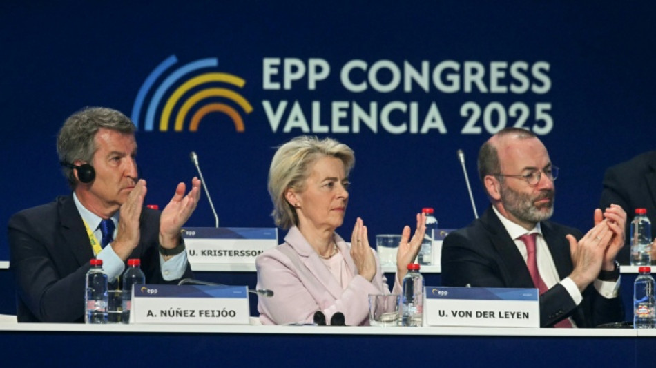 Kritik an Misstrauensantrag gegen von der Leyen: "Putins Marionetten"