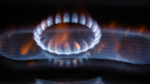 Il prezzo del gas apre in rialzo a 49,02 euro al megawattora