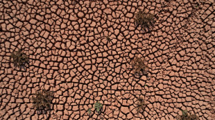 IPCC dringt auf Kampf gegen Klimakrise f&uuml;r Erhalt von "lebenswerter" Erde