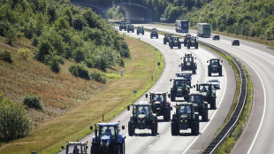 Polizei in den Niederlanden feuert Warnschüsse bei Bauern-Protest ab