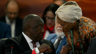 S.Africa police minister suspended after corrutpion allegations