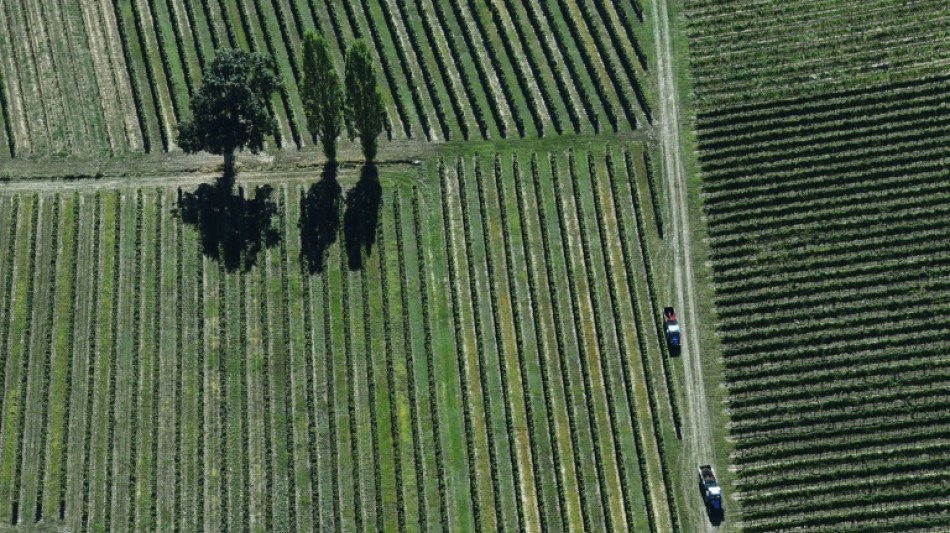 Saint-Emilion: un autre grand ch&acirc;teau se retire du classement