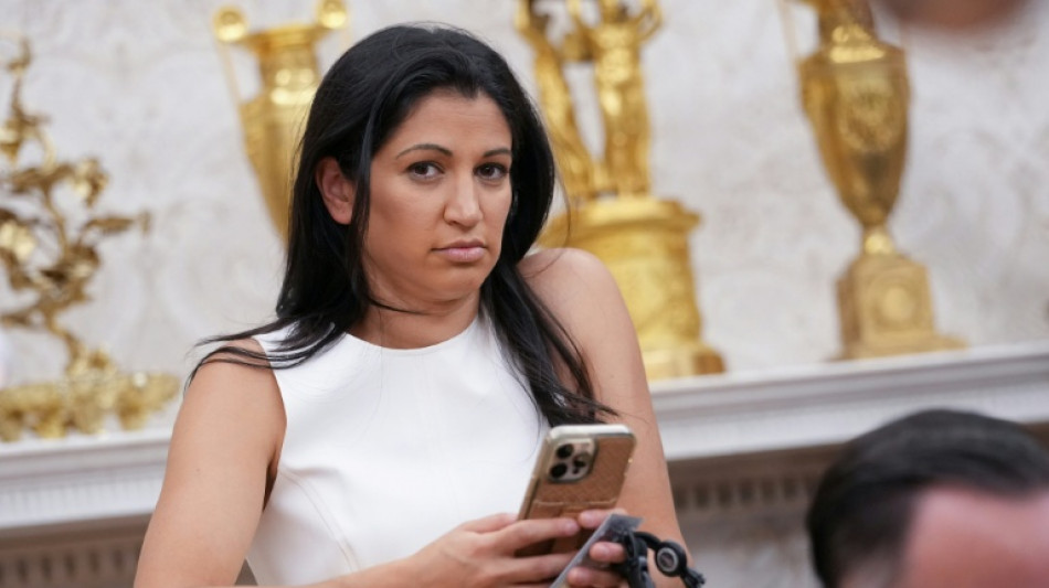 Denmark irritated by wife of Trump aide posting pic of US-flagged Greenland