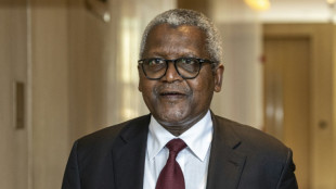 &Aacute;frica ser&aacute; pr&aacute;cticamente autosuficiente en carburante para 2030, afirma Dangote a la AFP