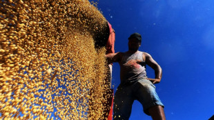 Brasil suspende el pacto de no comerciar soja de tierras deforestadas de la Amazonía