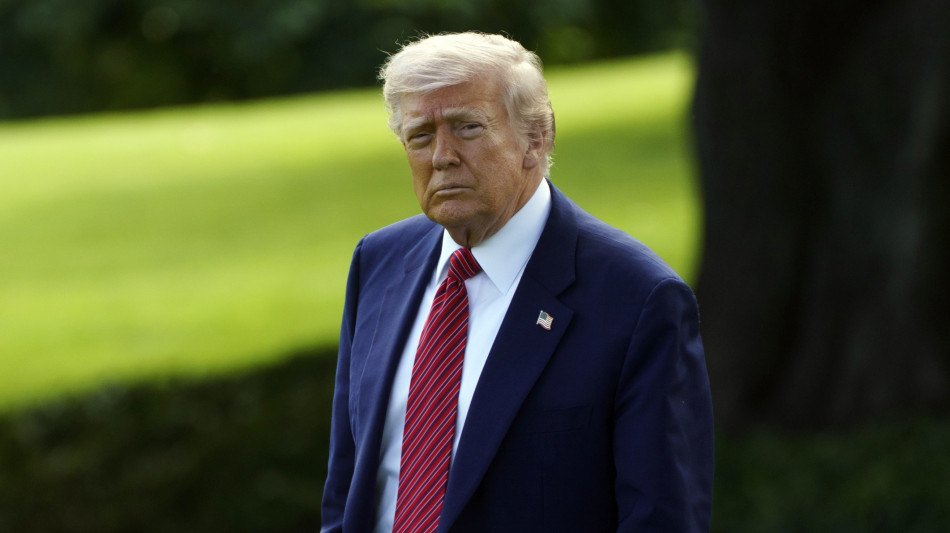 Wsj,Trump frustrato per lentezza Ue nei negoziati sui dazi