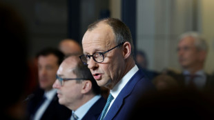 Merz appelliert an SPD und Gr&uuml;ne: "Zeit f&uuml;r Entscheidungen" bei Migration