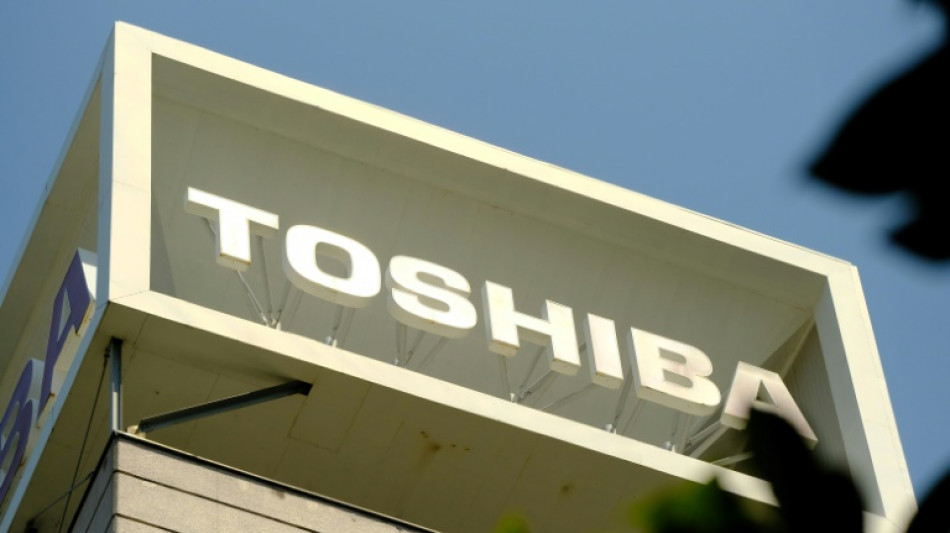 Toshiba in early talks with 10 potential buyout 'partners'