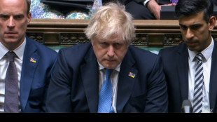 Londoner Polizei schlie&szlig;t Ermittlungen zu Lockdown-Partys in Downing Street ab