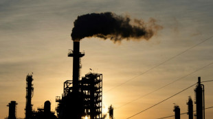 CO2-Speichergesetz kommt ins Kabinett - Umweltverbände warnen vor Technologie