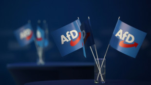 Machtkampf in Thüringer AfD: Landesvorstand will neun Parteimitglieder ausschließen