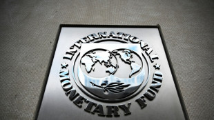 IMF approves use of reserve assets for 'hybrid' financial instruments