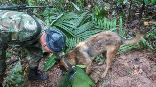 Petro anuncia resgate de quatro crianças perdidas 17 dias na floresta colombiana