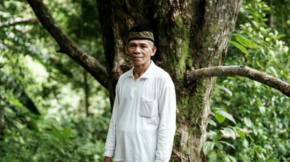 Indon&eacute;sie: le clou de girofle aussi victime du changement climatique