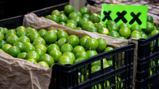 Asesinan al líder de los productores de limón en el oeste de México