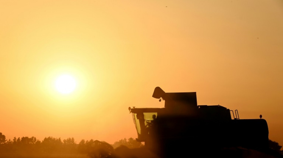 Agriculture: la loi Duplomb-Menonville entrevoit le bout du tunnel parlementaire, sans &eacute;teindre la controverse