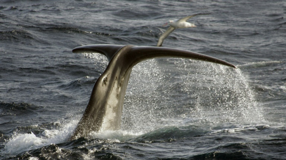Changement climatique: l'oc&eacute;anographe Paul Tr&eacute;guer plaide pour une COP oc&eacute;an