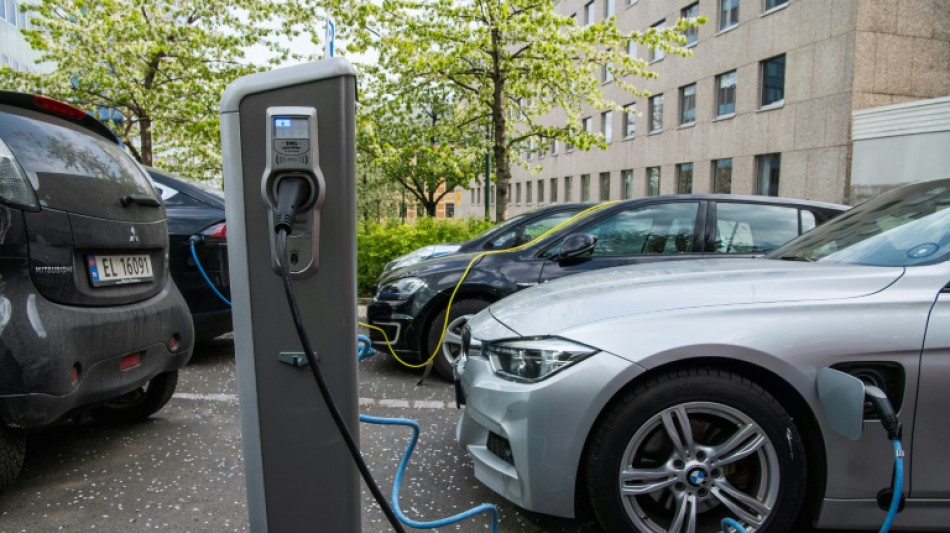 Los coches el&eacute;ctricos en circulaci&oacute;n en Noruega superan por primera vez a los de gasolina