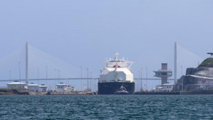 Canale di Panama, record di 5,3 milioni di dollari per un transito