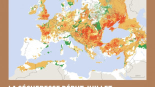 S&eacute;cheresse record pour un d&eacute;but juillet en Europe et sur le pourtour m&eacute;diterran&eacute;en