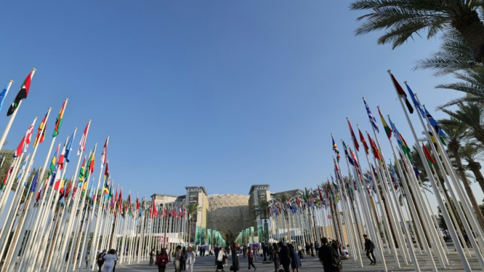 "Course contre la montre" à Dubaï pour écrire une page d'histoire à la COP28