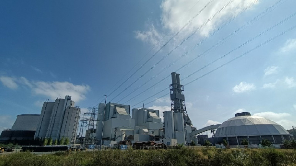 Alemania enfrenta la dif&iacute;cil y laboriosa reapertura de sus centrales a carb&oacute;n