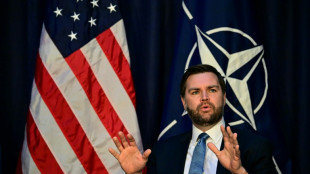 Vance forderte deutsche Parteien zur Zusammenarbeit mit der AfD auf