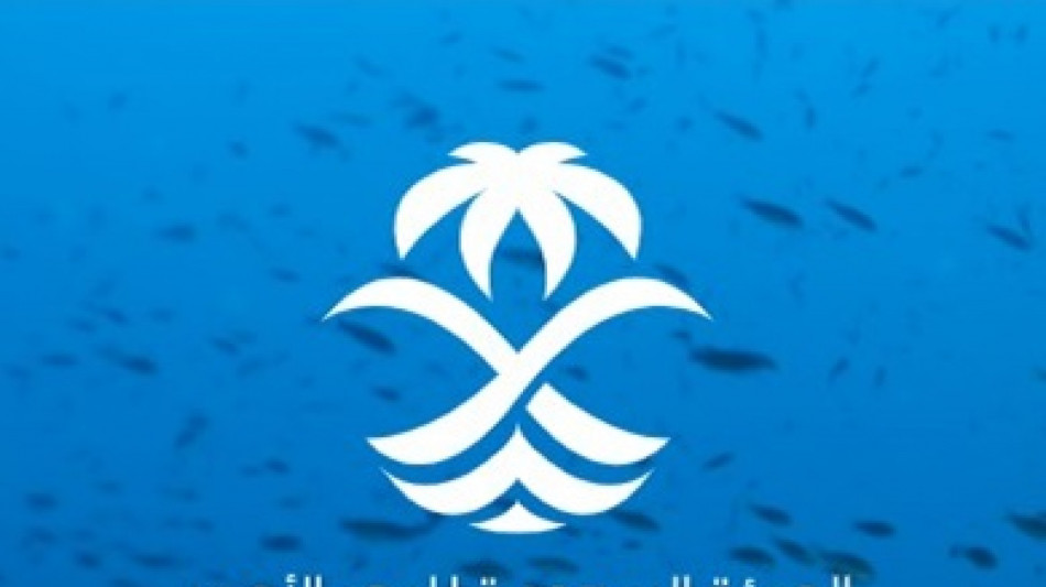 Fincantieri, accordo con la Saudi Red Sea Authority