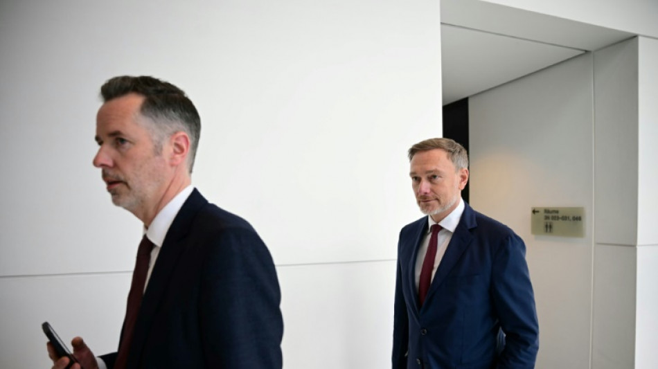 FDP lobt Merz' Sofortprogramm - fordert aber h&auml;rtere Einschnitte bei Klimaschutz