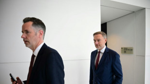 FDP lobt Merz' Sofortprogramm - fordert aber h&auml;rtere Einschnitte bei Klimaschutz