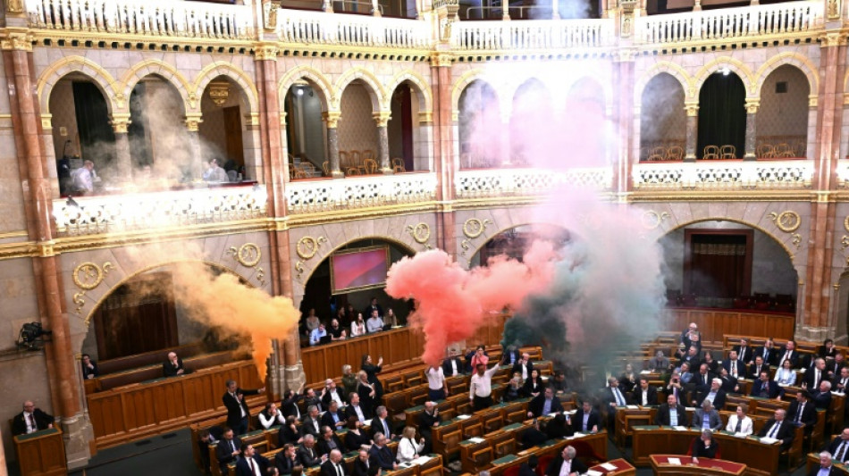 En Hongrie, adoption d'une loi pour interdire la Marche des fiert&eacute;s