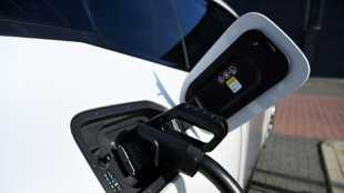 E-Auto auch ohne hohes Einkommen: &Ouml;ko-Institut fordert Social Leasing 