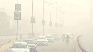 Inde: une &eacute;tude attribue de nombreux d&eacute;c&egrave;s &agrave; la pollution a&eacute;rienne