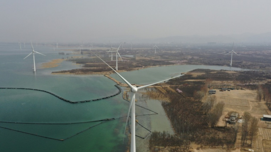 Clean energy giant Goldwind leads China's global sector push