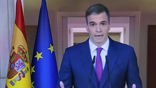 Spaniens Ministerpräsident Sánchez bleibt im Amt