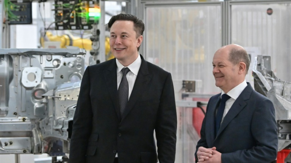 Scholz zum Umgang mit Musk-&Auml;u&szlig;erungen zu deutscher Politik: "Cool bleiben"&nbsp;