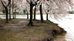 Vivre pr&egrave;s d'espaces verts rend plus jeune de deux ans et demi, selon une &eacute;tude