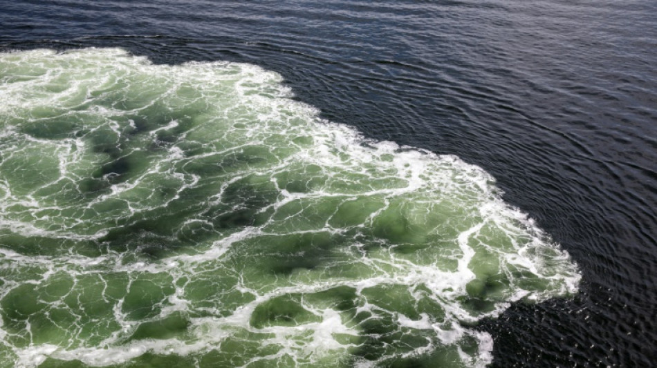 EU-Staaten pr&uuml;fen Sanktionen gegen russische "Schattenflotte"