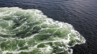 EU versch&auml;rft Russland-Sanktionen - Importembargo f&uuml;r Aluminium