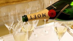 'Optimistic': Champagne growers hope for US tariff shift