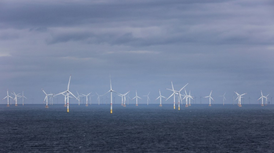 Wissenschaftler dr&auml;ngen auf Fortschritte bei Schl&uuml;sseltechnologien f&uuml;r Klimaschutz