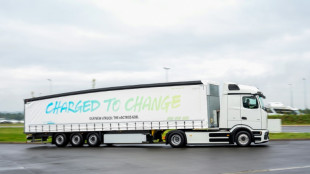 Europaparlament stimmt für strengere CO2-Ziele für Lkw und Busse