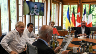 Selenskyj fordert von G7 Kraftanstrengung für Kriegsende noch in diesem Jahr