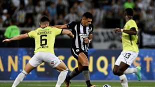 Botafogo fica no empate com a LDU (0-0) em casa pela Sul-Americana