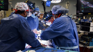 Médicos americanos realizam 2º transplante de coração de porco em humanos