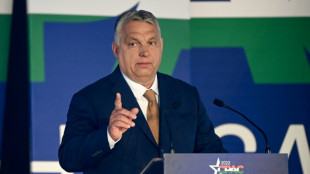 Ungarns Übergewinnsteuer soll mehr als zwei Milliarden Euro einbringen 