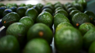 Avocado-Importe haben sich innerhalb von zehn Jahren verfünffacht