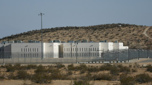 Detenci&oacute;n de inmigrantes es un man&aacute; econ&oacute;mico para prisiones privadas en EEUU