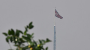 Corea del Sur alerta de que Pyongyang prepara ataques contra sus embajadas